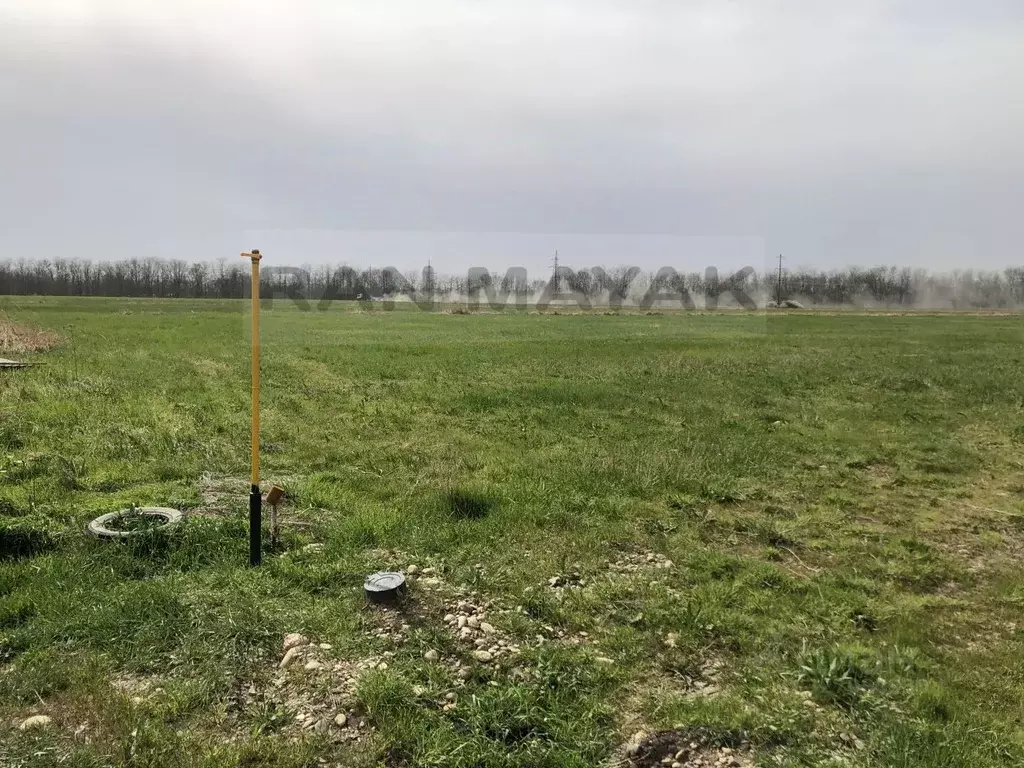 Участок в Адыгея, Майкоп городской округ, пос. Родниковый ул. ... - Фото 1