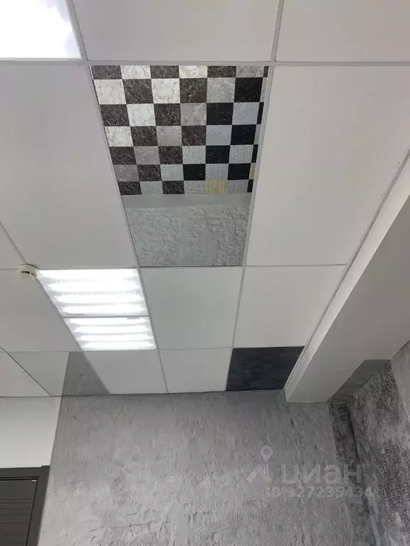 Помещение свободного назначения в Тюменская область, Тюмень ул. ... - Фото 1