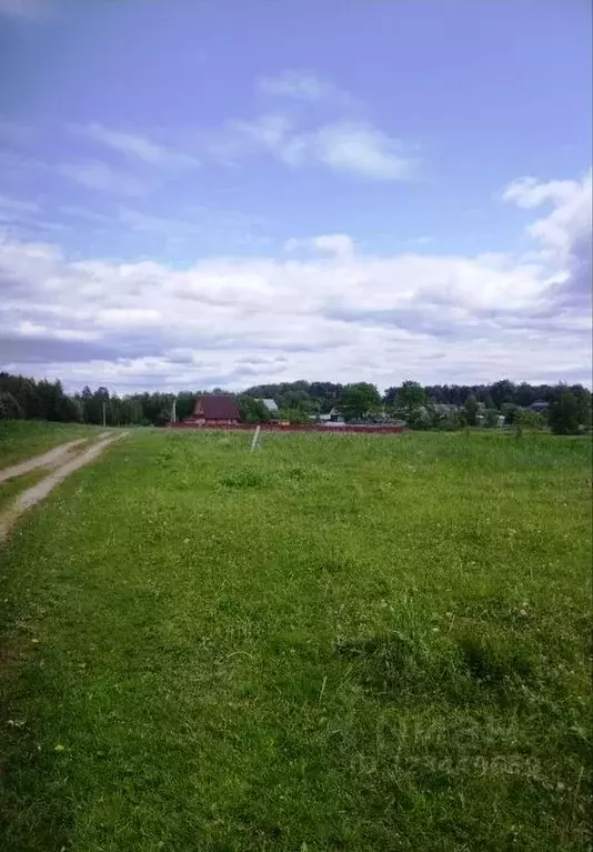 Участок в Тверская область, Рамешковский муниципальный округ, д. ... - Фото 1