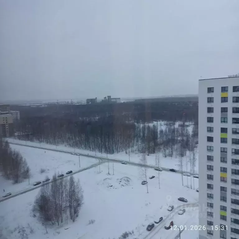 Студия Ярославская область, Ярославль ул. Лескова, 40 (27.4 м) - Фото 2