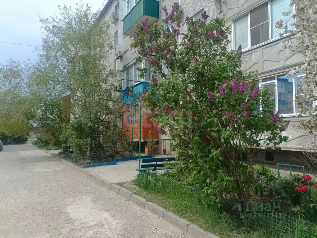 1-к кв. Краснодарский край, Темрюк ул. Калинина (35.2 м) - Фото 1
