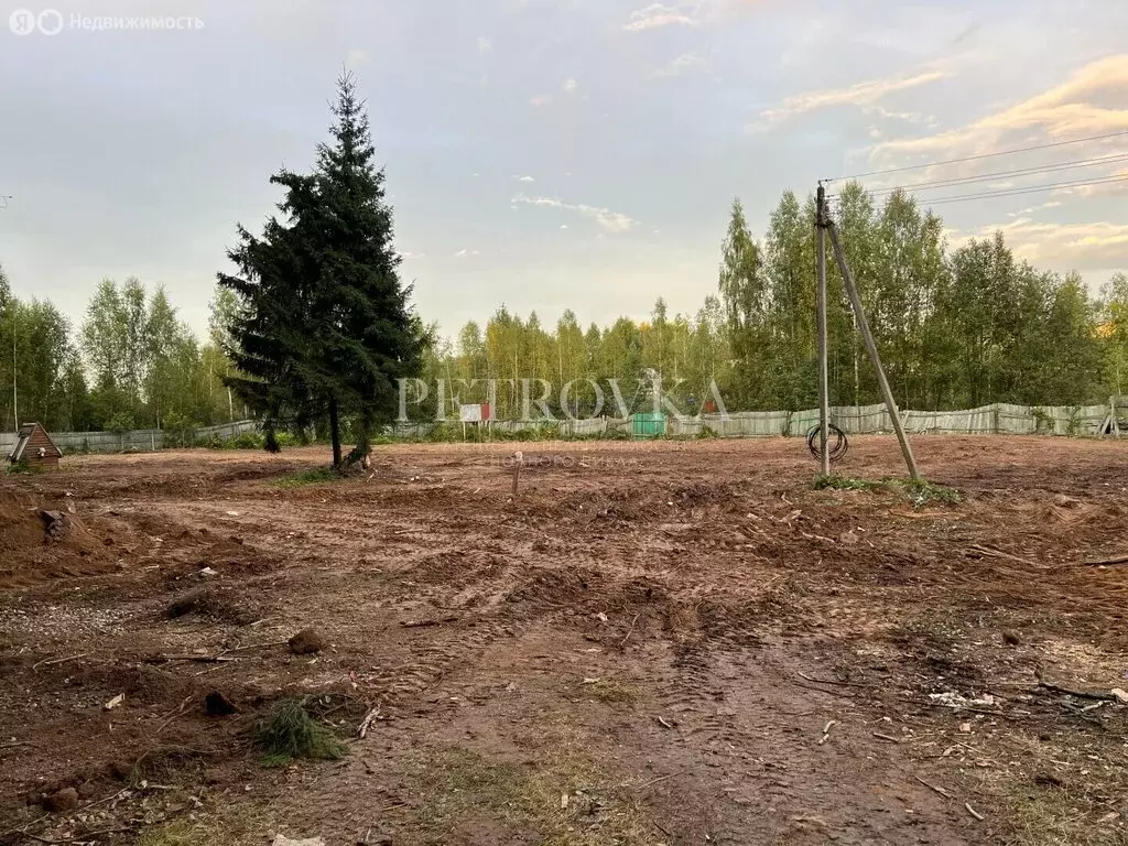 Участок в Московская область, Дмитровский муниципальный округ, СНТ ... - Фото 0