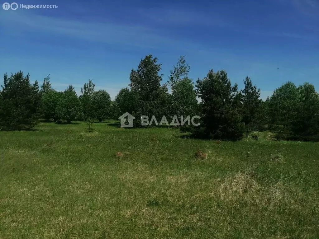 Участок в село Фроловское, Дорожная улица (6400 м) - Фото 0