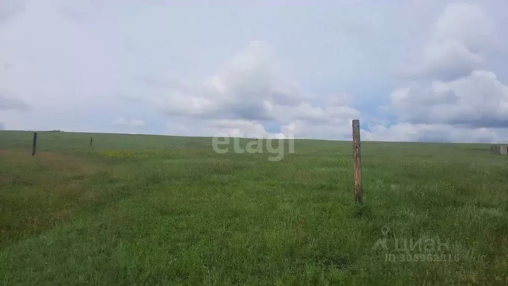 Участок в Иркутская область, Эхирит-Булагатский район, пос. ... - Фото 1