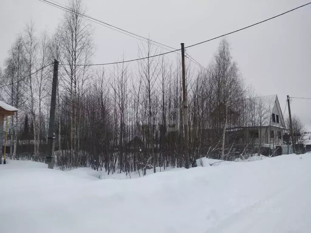 Участок в Коми, Сыктывкар городской округ, Краснозатонский пгт 3-я ... - Фото 1