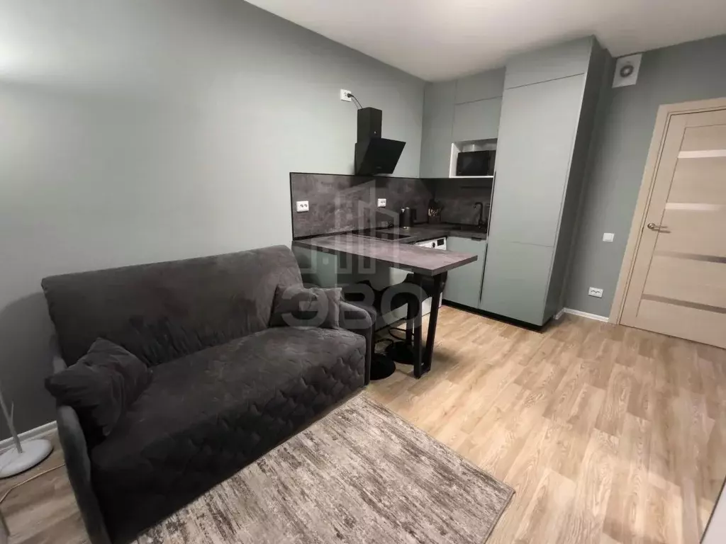Студия Санкт-Петербург наб. Реки Каменки, 23 (19.0 м) - Фото 0