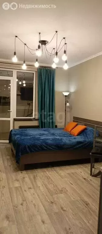 Квартира-студия: Мурино, Воронцовский бульвар, 16к2 (20.6 м) - Фото 2