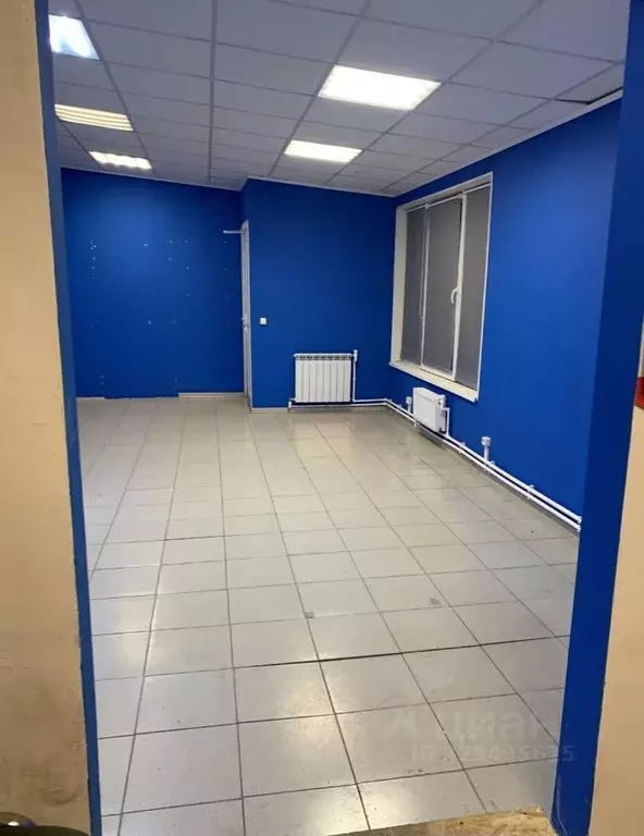 Помещение свободного назначения в Псковская область, Псковский район, ... - Фото 1