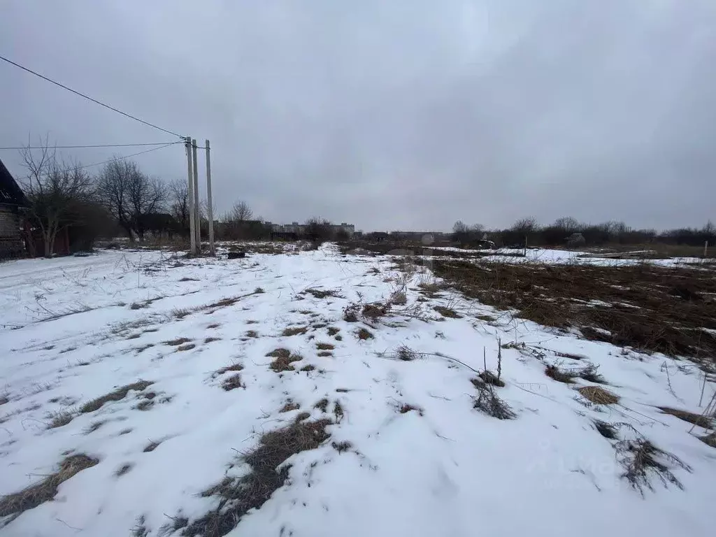 Участок в Брянская область, Брянский район, Снежское с/пос, пос. ... - Фото 2