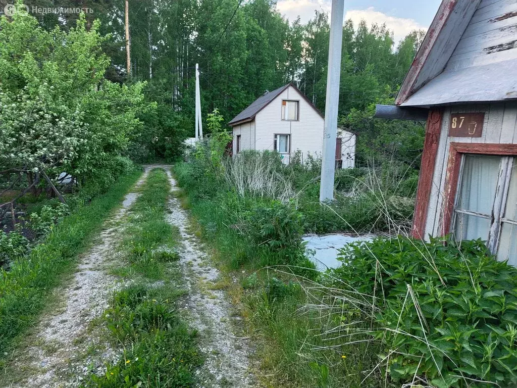 Участок в Екатеринбург, Республиканская улица (3 м) - Фото 1