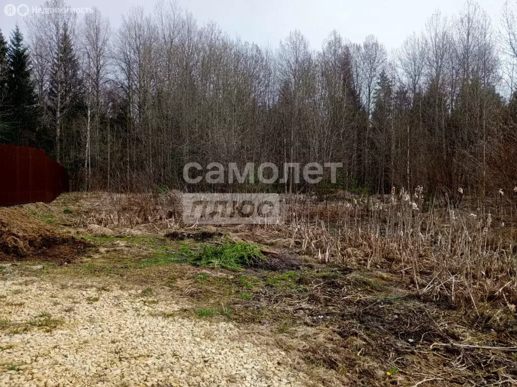 Участок в Шапкинское сельское поселение, садоводческое некоммерческое ... - Фото 2