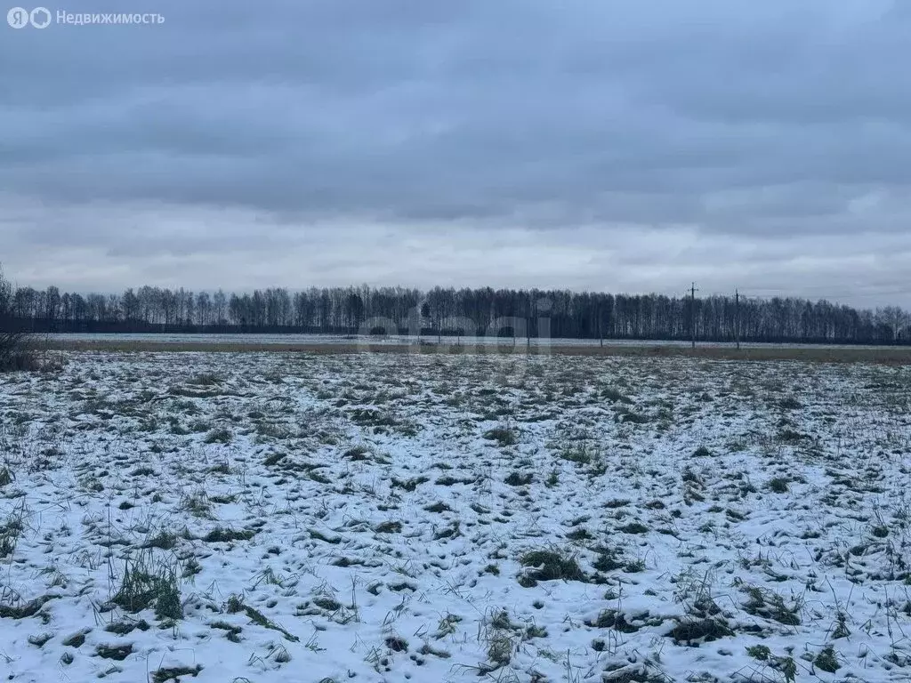 Участок в посёлок городского типа Красное-на-Волге, посёлок ... - Фото 1