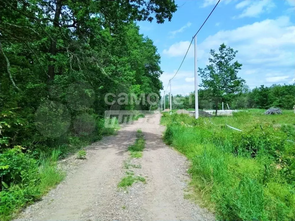 Участок 6 га (СНТ, ДНП) - Фото 1