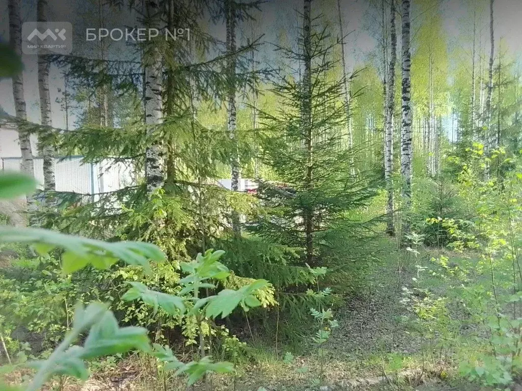 Участок в Ленинградская область, Всеволожск Новая ул., 37А (6.4 сот.) - Фото 2