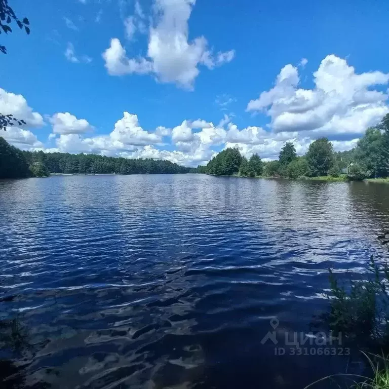 Участок в Орловская область, Хотынецкий район, Ильинское с/пос, д. ... - Фото 1