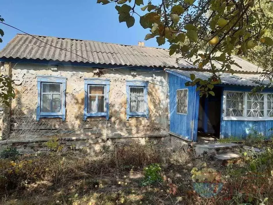 Погода в хохле воронежской области. Воронежская область Хохольский район село хохол улица Крупской 6. Село хохол. Дома в Хохле на улице Пушкинской. Хохол село Воронежская область улица Шуры Лавлинской.