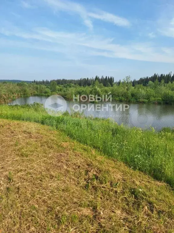Дом 60 м на участке 23 сот. - Фото 1
