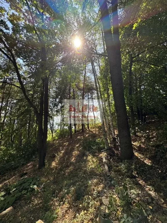 Коттедж в Саратовская область, пос. Красный Текстильщик ул. Песочная, ... - Фото 0