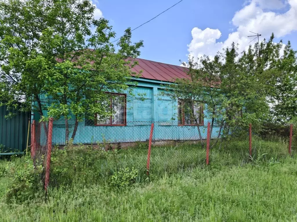 Дом в Воронежская область, Борисоглебский городской округ, с. ... - Фото 1
