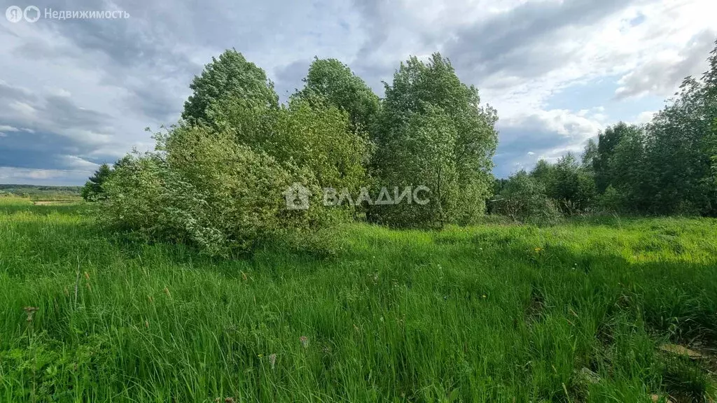Участок в деревня Степурино, Полевая улица (7.6 м) - Фото 0