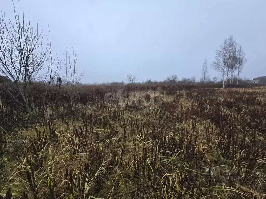 Участок в Брянская область, Брянский район, Добрунское с/пос, Полет ... - Фото 1