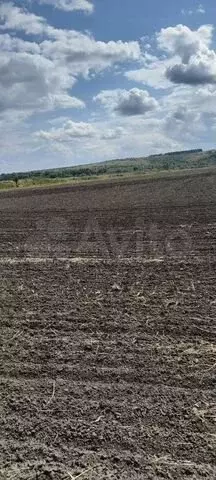 Участок 14,5 га (СНТ, ДНП) - Фото 0