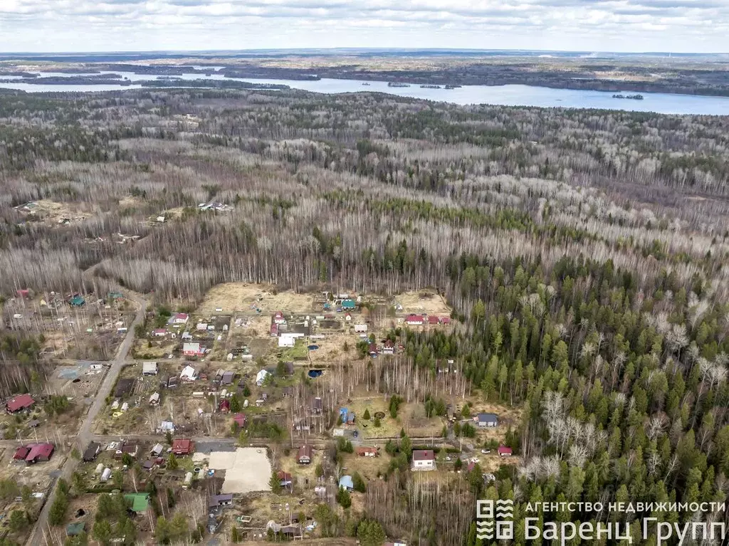 Участок в Карелия, Кондопожский район, Кончезерское с/пос, Вымпел СОТ  ... - Фото 1