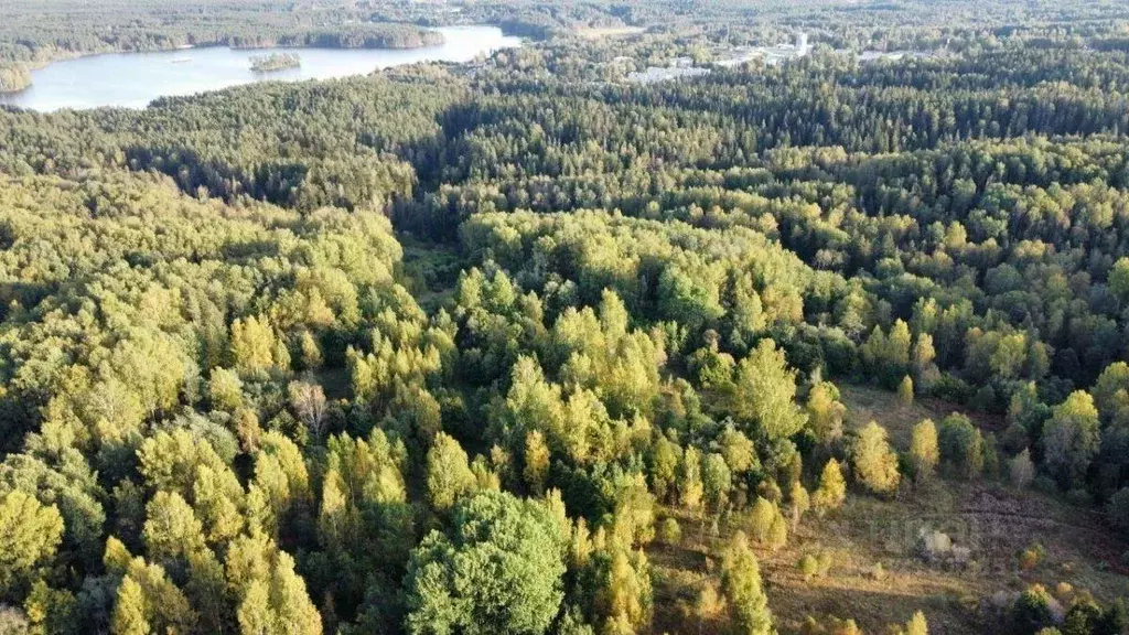 Участок, 12000 сот., сельхоз (снт или днп) - Фото 0