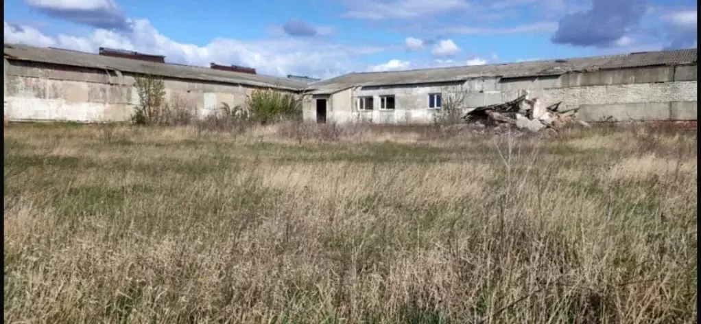 Склад в Белгородская область, Белгородский район, Майское с/пос, пос. ... - Фото 1