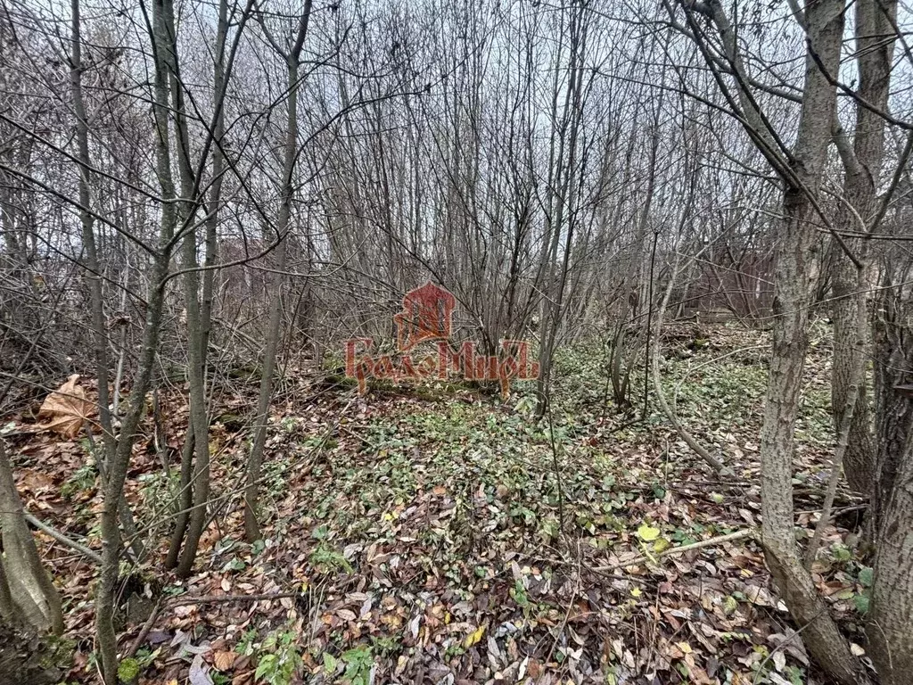 Участок в Владимирская область, Александровский муниципальный округ, ... - Фото 1