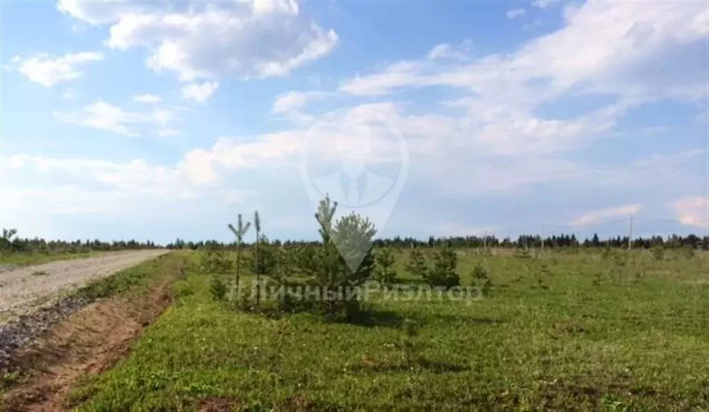 Участок в Рязанская область, Рязанский район, Дубровическое с/пос, с. ... - Фото 0