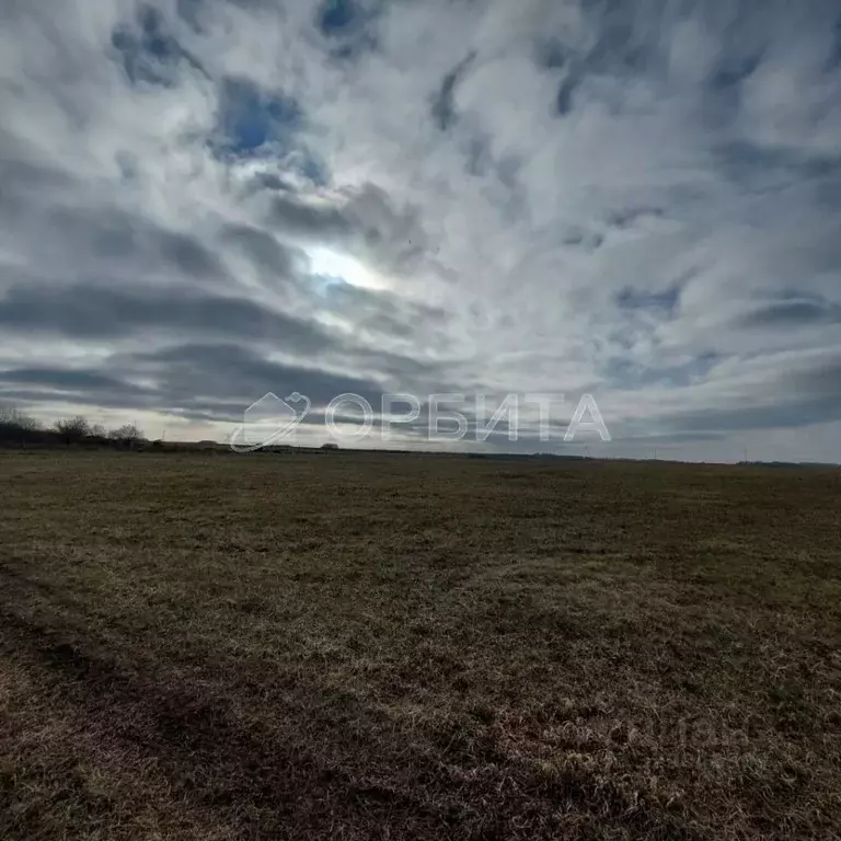 Участок в Тюменская область, Тюмень ул. Олега Антонова (6.0 сот.) - Фото 2