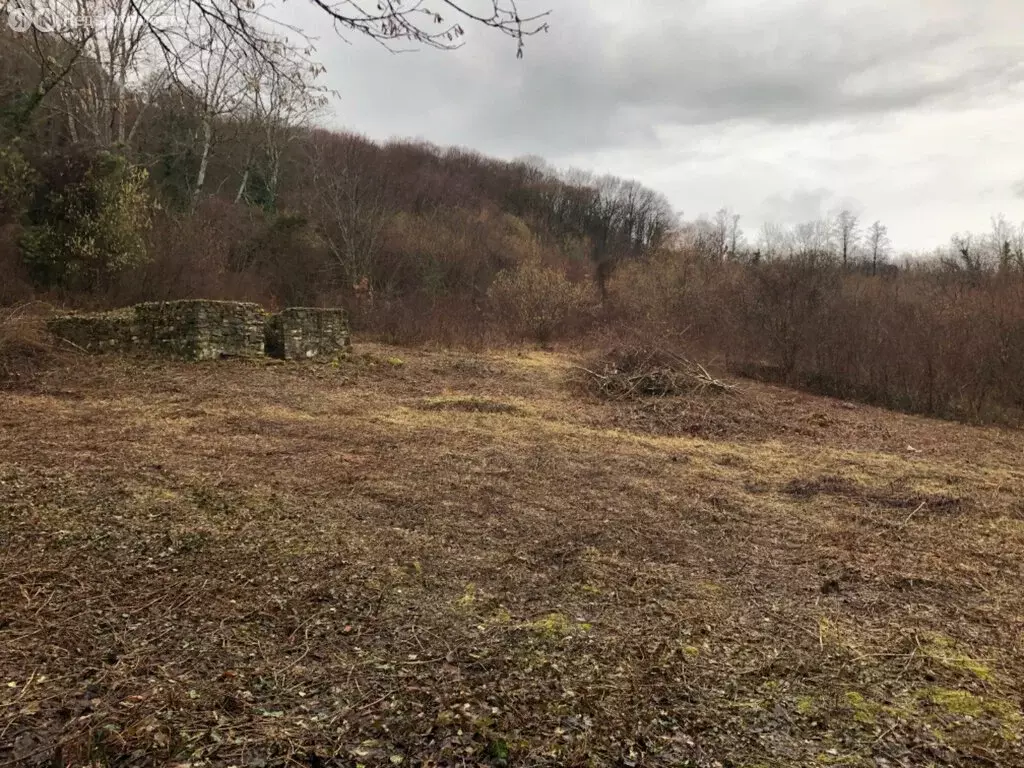 Участок в Краснодарский край, городской округ Геленджик, село ... - Фото 1