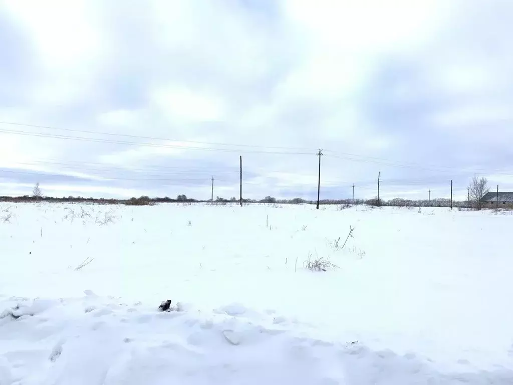 Участок в Новосибирская область, Колыванский район, д. Малый Оеш  (8.0 ... - Фото 1