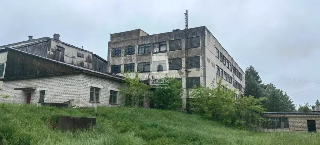 Помещение свободного назначения в Амурская область, Шимановск ул. ... - Фото 2