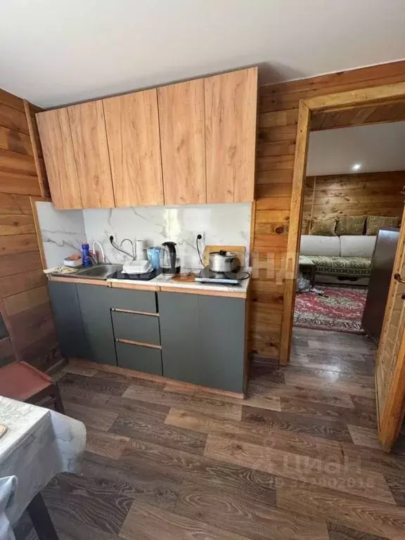 Дом в Новосибирская область, Колыванский район, с. Скала ул. Чехова ... - Фото 1