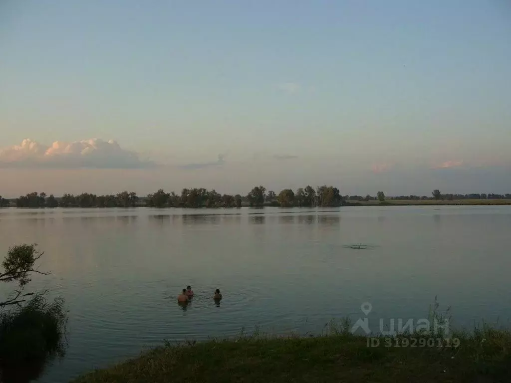 Участок в Татарстан, Лаишевский район, Никольское с/пос, с. Тарлаши ... - Фото 1