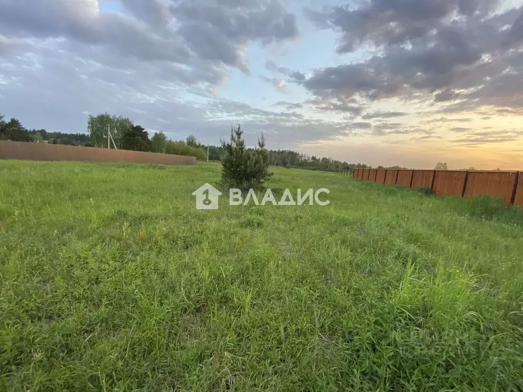 Участок в Московская область, Ногинск Богородский городской округ, ул. ... - Фото 1