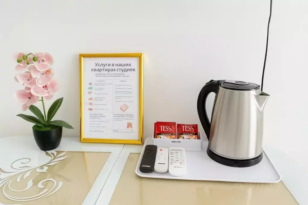 1-к кв. Самарская область, Самара Ново-Садовая ул., 273 (20.0 м) - Фото 2