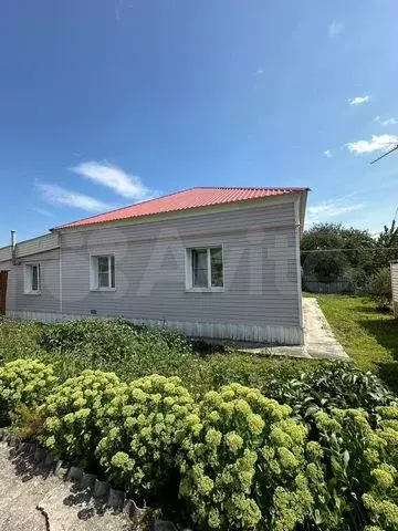 Дом 71,1 м на участке 48 сот. - Фото 0