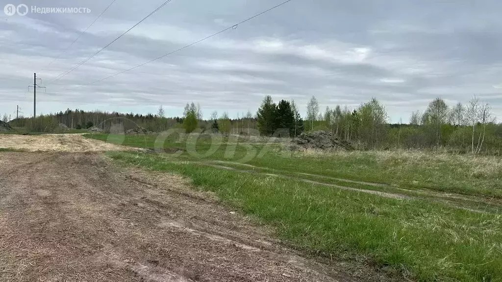 Участок в Свердловская область, Тугулымский муниципальный округ, ... - Фото 1