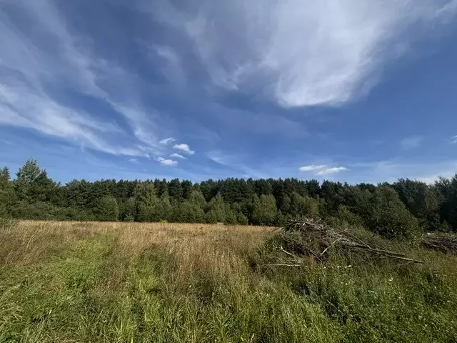 Участок в Московская область, Воскресенск городской округ, с. Усадище ... - Фото 1