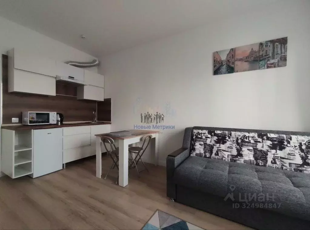 Студия Санкт-Петербург просп. Крузенштерна, 4 (20.4 м) - Фото 1