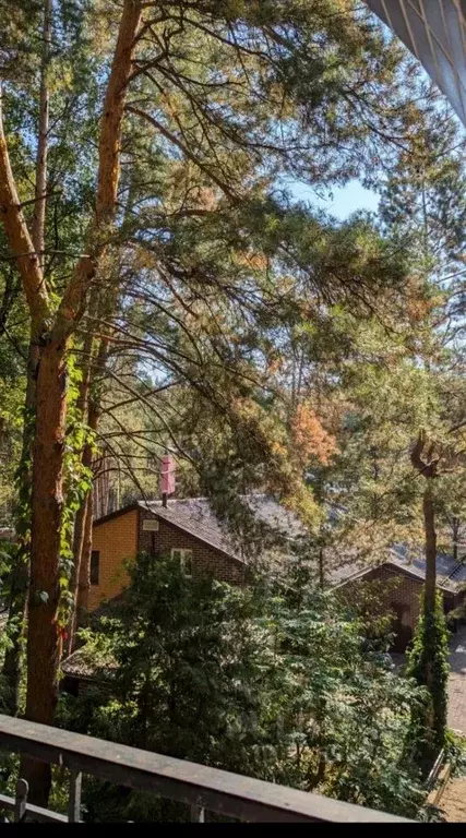 Участок в Московская область, Одинцовский городской округ, д. Раздоры, ... - Фото 2