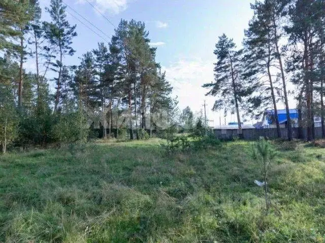 Участок в Томская область, Томский район, с. Курлек ул. Космонавтов ... - Фото 0