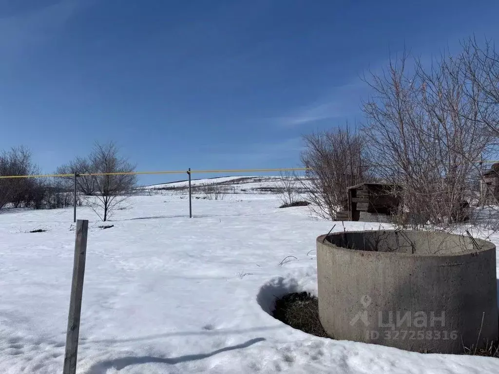 Участок в Оренбургская область, Оренбургский район, пос. Зауральный ... - Фото 2