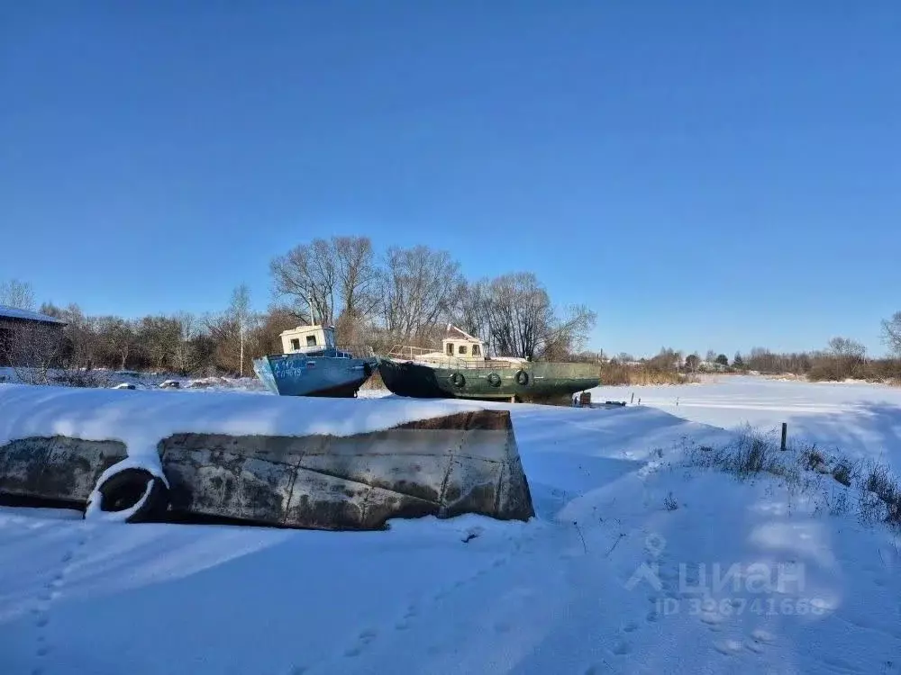 Участок в Псковская область, Печорский муниципальный округ, д. Лисье  ... - Фото 1