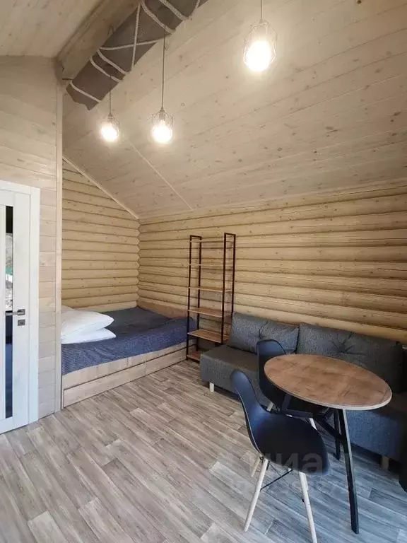 Дом в Алтай, Чемальский район, с. Анос ул. Полевая, 4 (27 м) - Фото 1