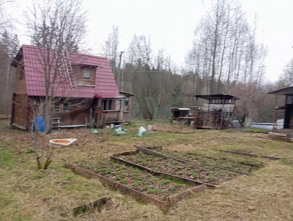 Дача 60 м на участке 7 сот. - Фото 0