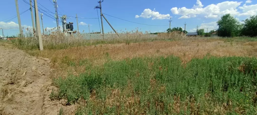 Участок в Волгоградская область, Среднеахтубинский район, Фрунзенское ... - Фото 0